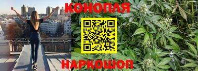 индика Мариинск