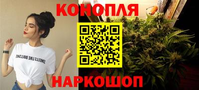 индика Мариинск