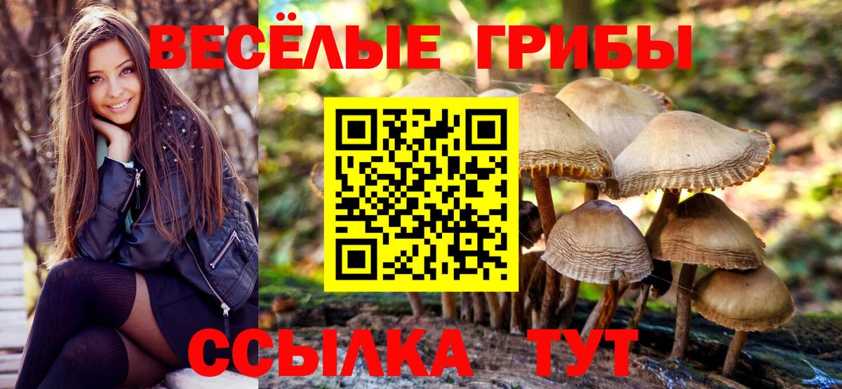Псилоцибиновые грибы прущие грибы  Вход с VPN  Дзержинск 