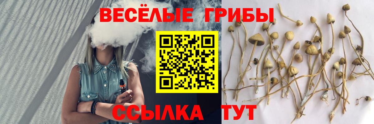 Псилоцибиновые грибы мухоморы Дзержинск